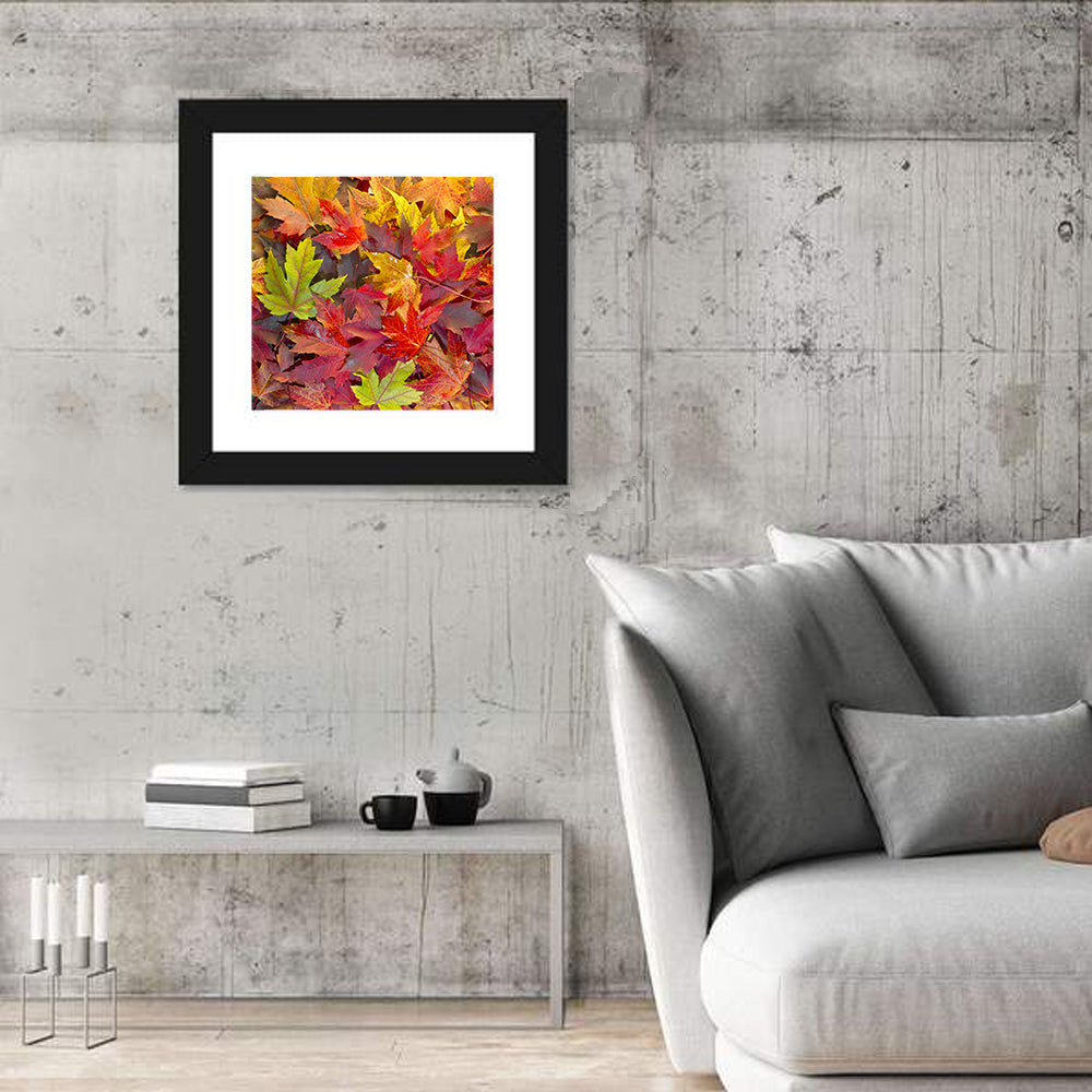 Autumn Maple Leaves Close-up Wall Art in a room, square