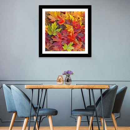 Maple Leaves Wall Art