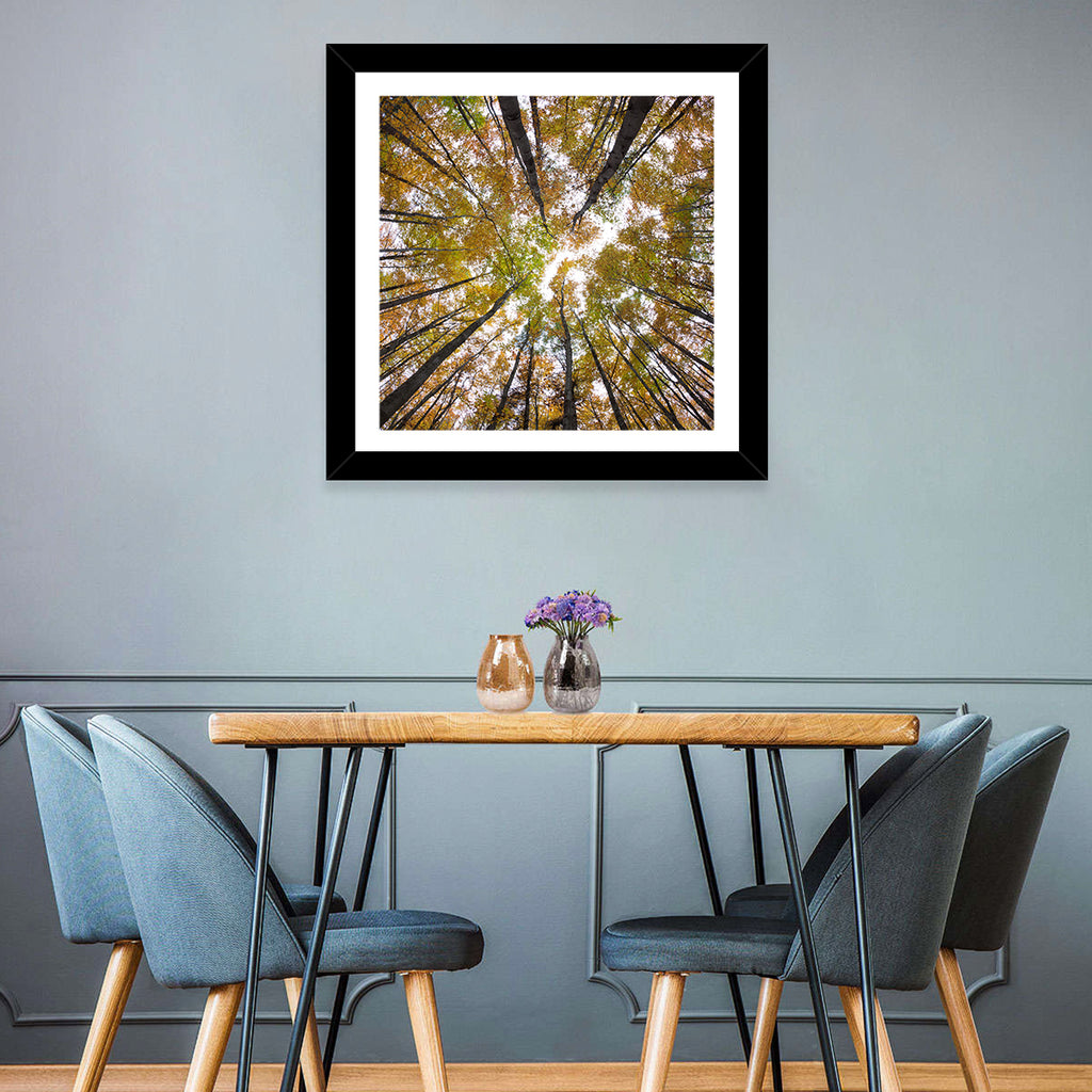 Autumn Forest Canopy Looking Up Wall Art