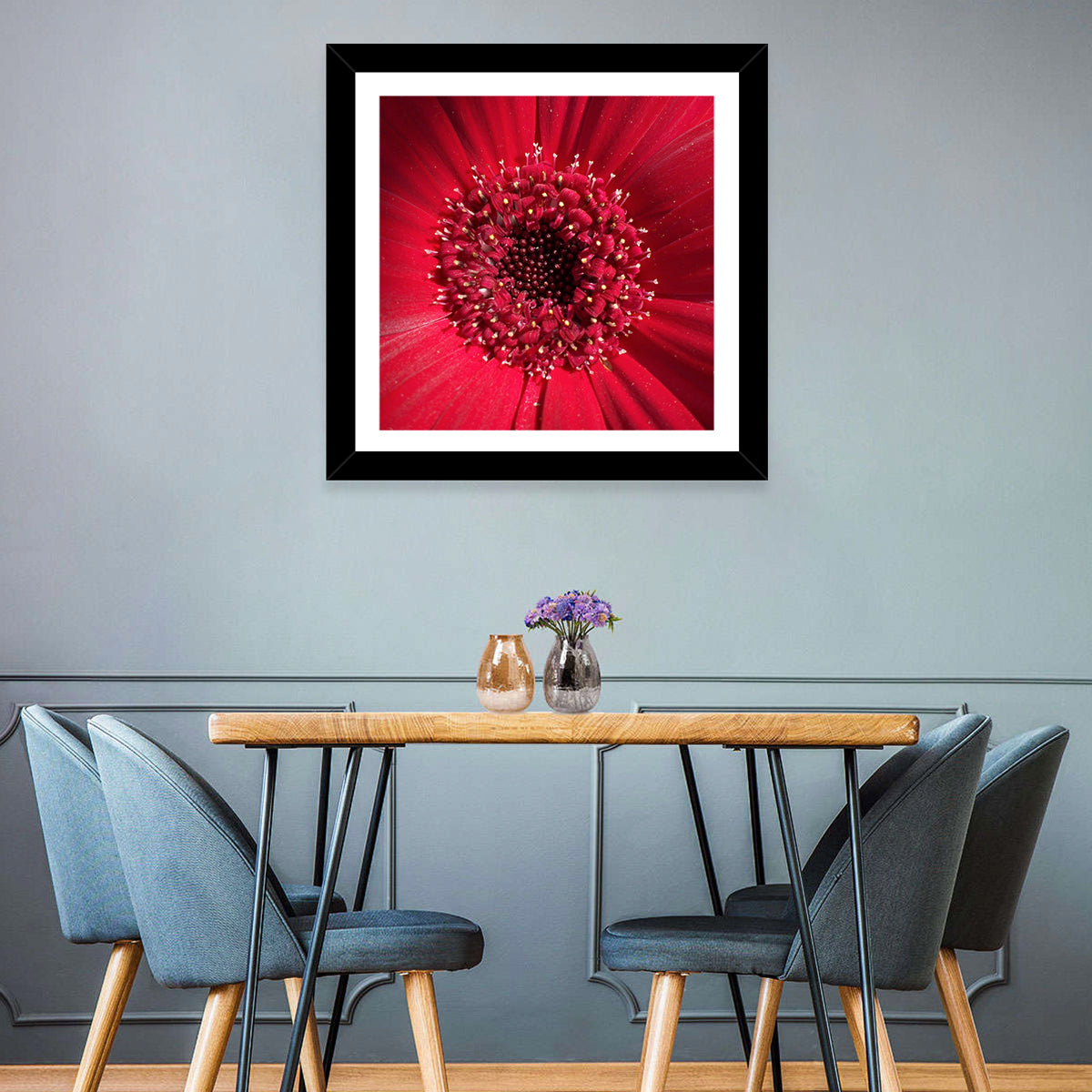 Red Gerbera Daisy Macro Close Up Wall Art in a room, square