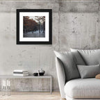 Caddo Lake Morning Mist Wall Art