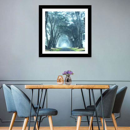 Foggy Trees Alley Wall Art