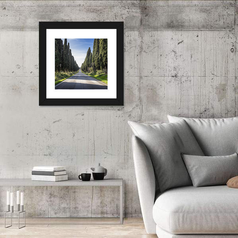 Avenue of Cypress Trees Wall Art in a room, square