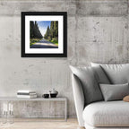 Avenue of Cypress Trees Wall Art