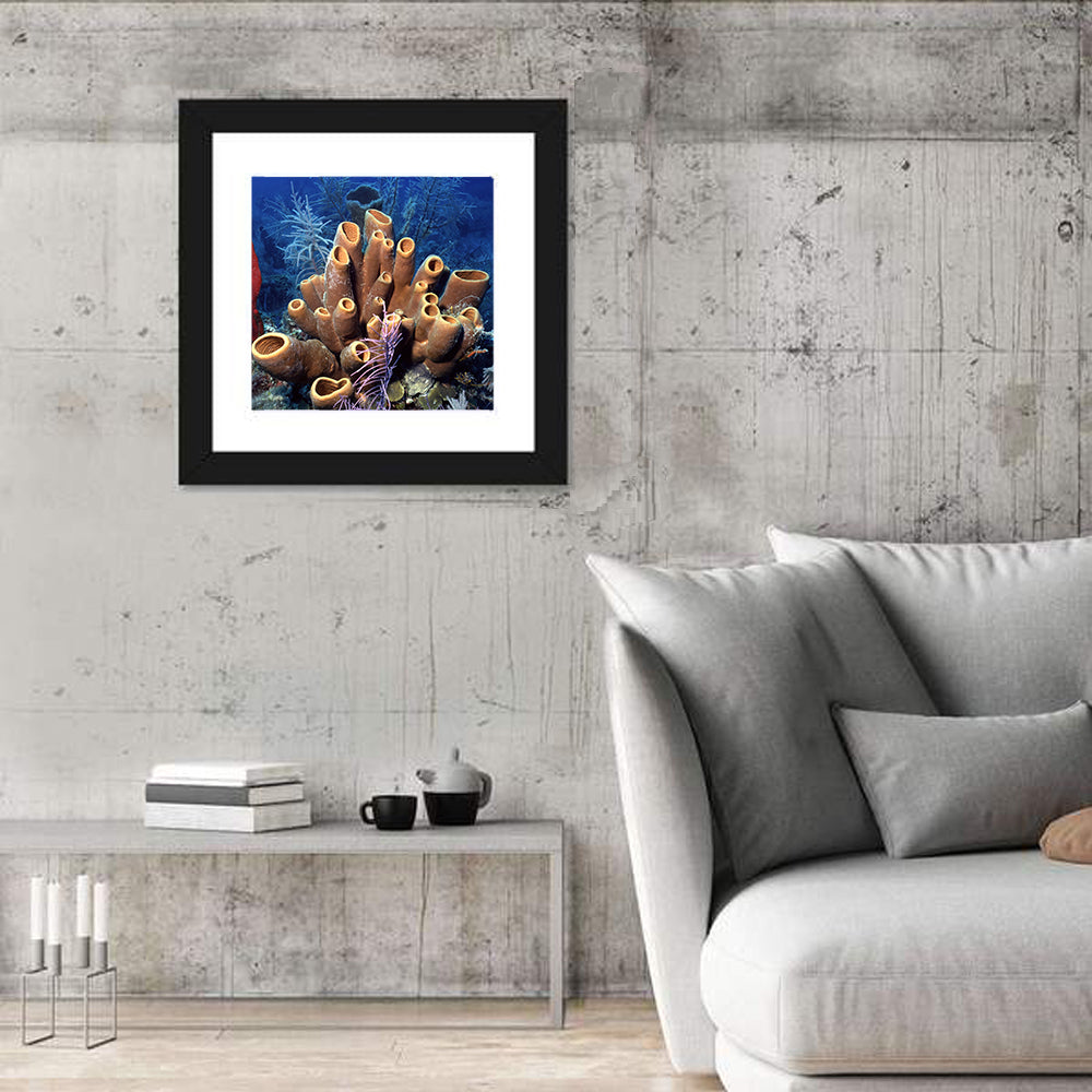 Belize Reef Sponge Scene Wall Art in a room, square