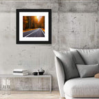 Golden Hour Forest Road Wall Art