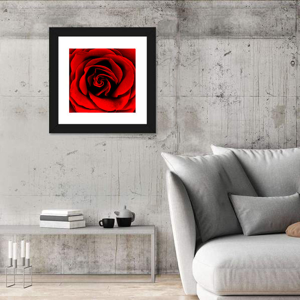 Velvety Red Rose Close-up Wall Art