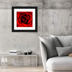 Velvety Red Rose Close-up Wall Art