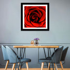 Velvety Red Rose Close-up Wall Art