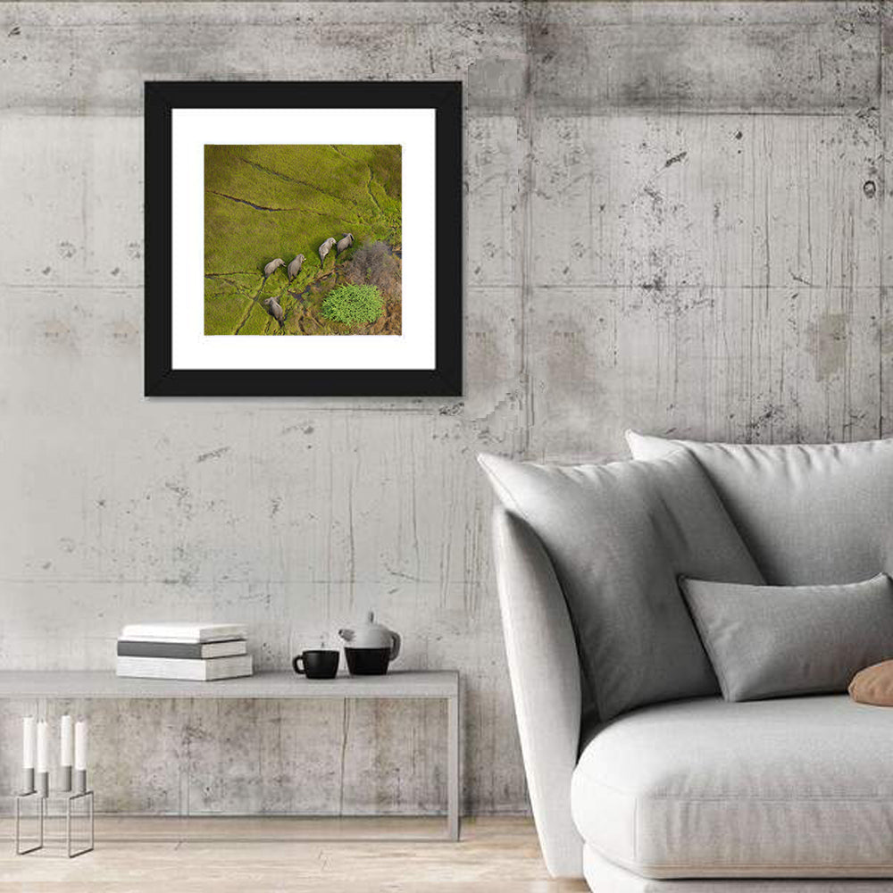 Aerial Herd of Elephants Wall Art