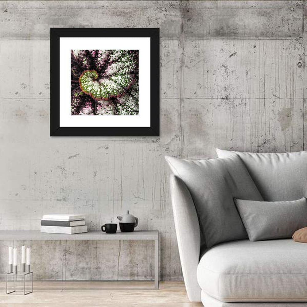Begonia Leaf Spiral Geometry Wall Art in a room, square