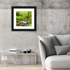 Mossy Stream Through Forest Wall Art