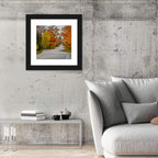 Winding Autumn Highway Wall Art