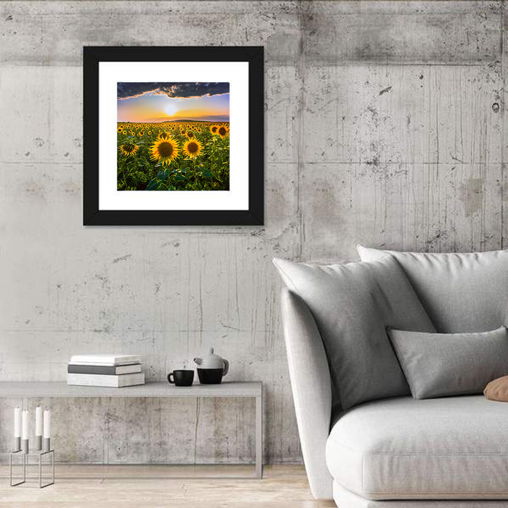 Sunflower Field at Golden Hour Wall Art