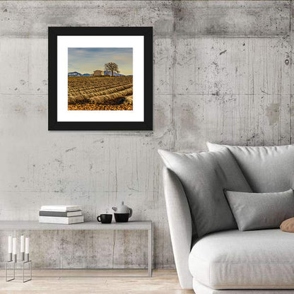 Provence Lavender Wall Art