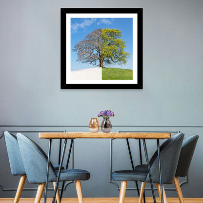 Winter Summer Concept Tree Wall Art