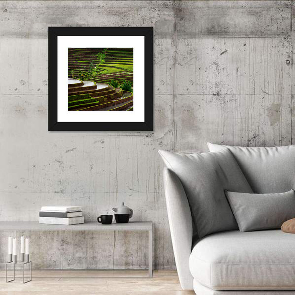 Lush Rice Terraces Wall Art in a room, square