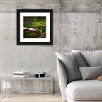 Lush Rice Terraces Wall Art