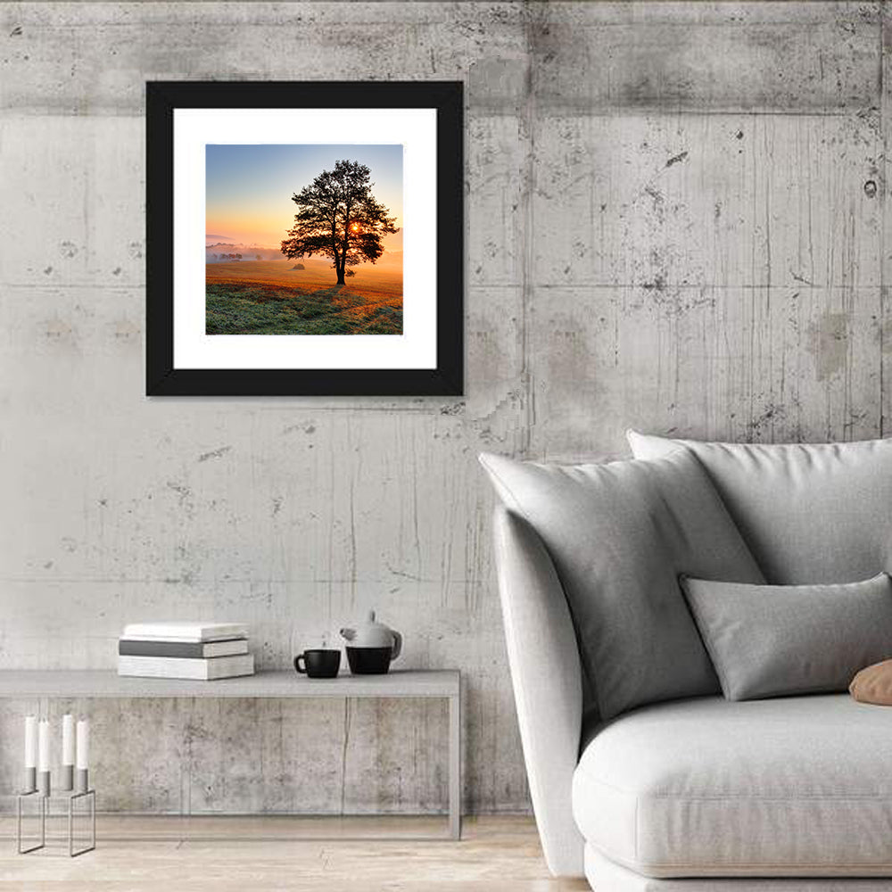 Misty Meadow Sunrise with Lone Tree Wall Art in a room, square