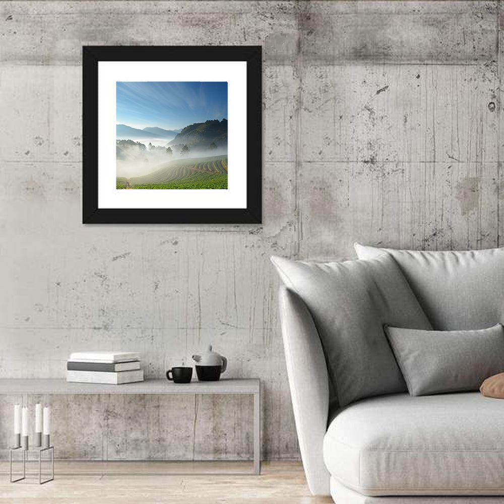 Sunlit Terraced Tea Hills Wall Art in a room, square