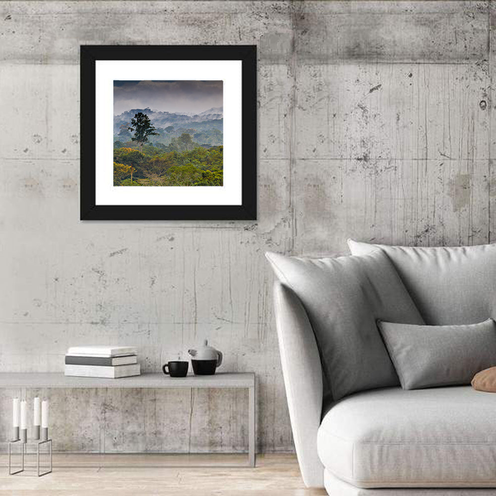 Guinea Rainforest Landscape Wall Art in a room, square