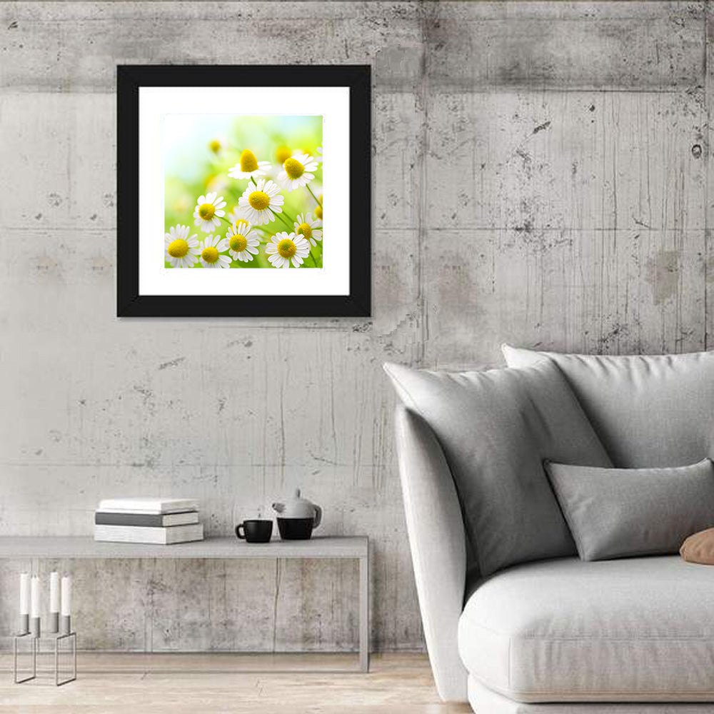 Chamomile Close-up Wall Art in a room, square