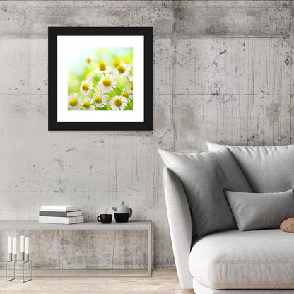 Chamomile Flowers Wall Art