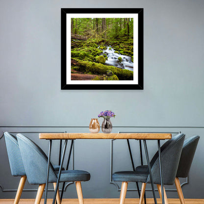 Cascade Forest Stream Wall Art