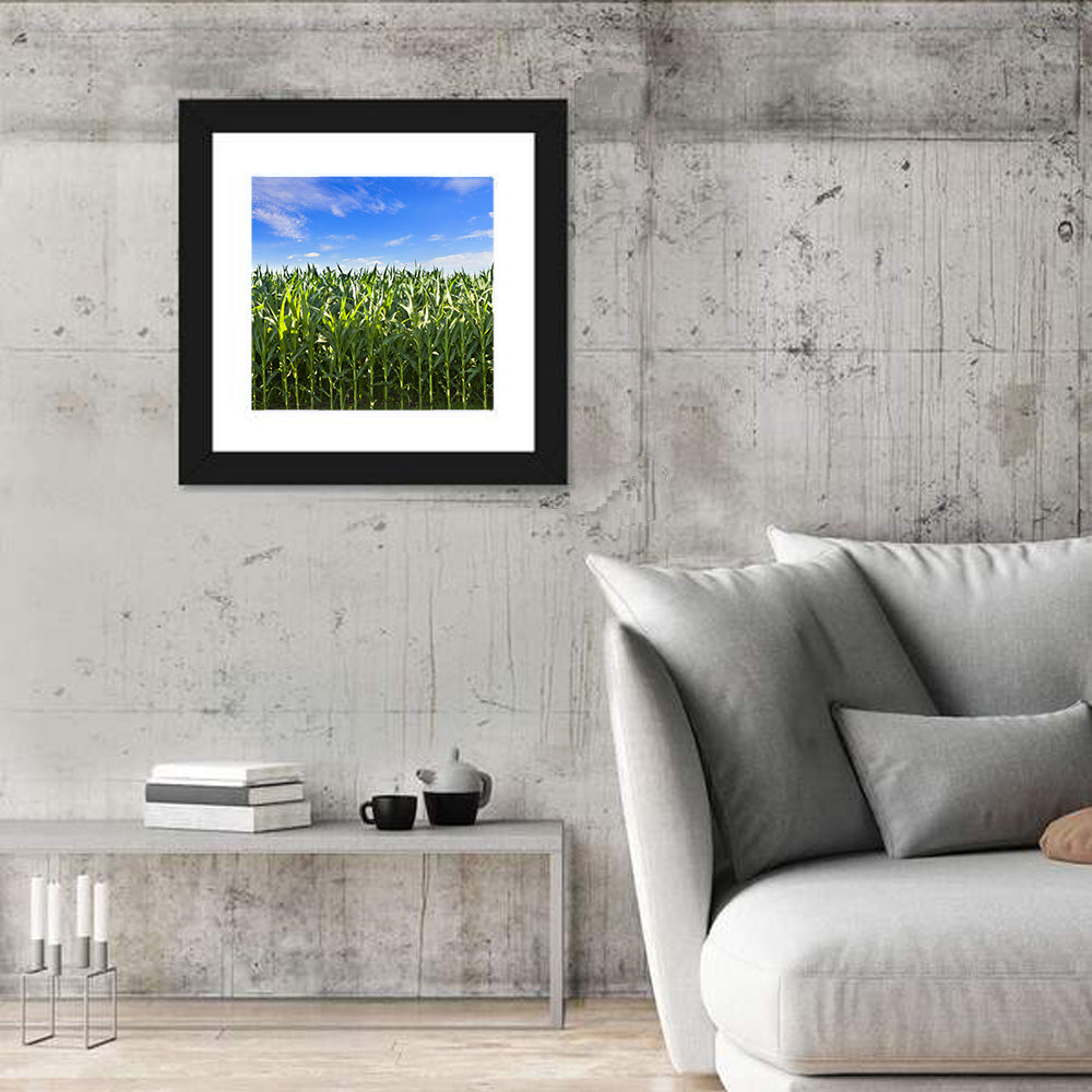 Green Corn Field Wall Art