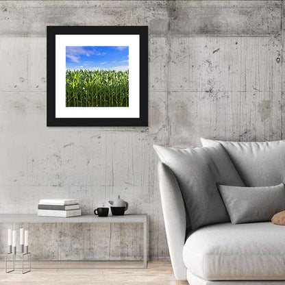 Green Corn Field Wall Art