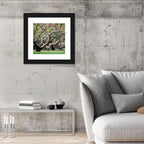 Peach Orchard in Bloom Wall Art
