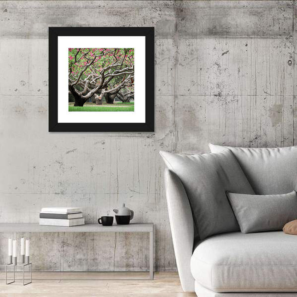 Peach Orchard in Bloom Wall Art