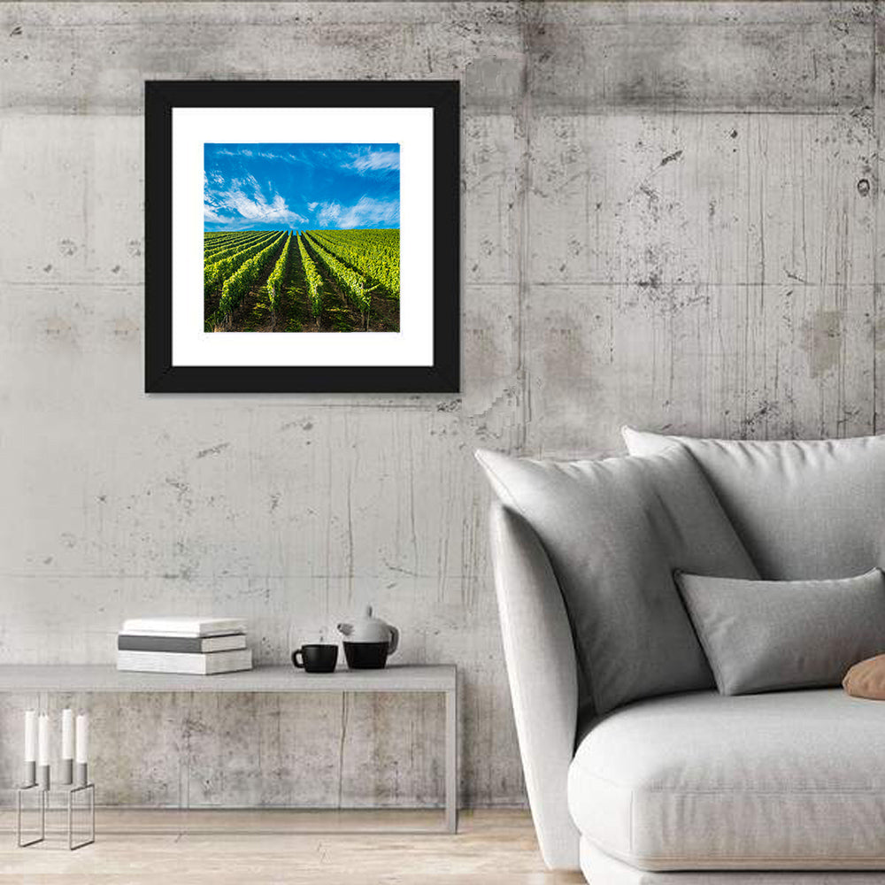 Luxembourg Vineyards Wall Art