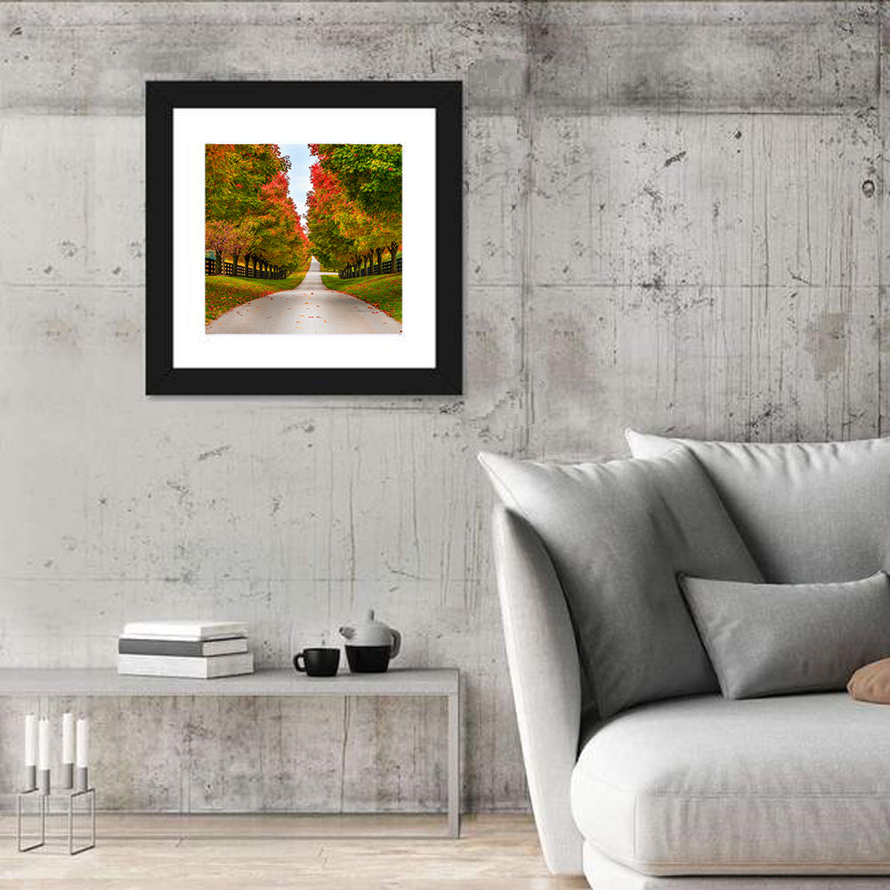 Tree-lined Farm Lane, Kentucky Wall Art in a room, square