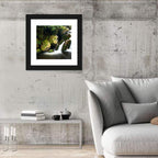 Rainforest Waterfall with Moss Covered Boulders Wall Art