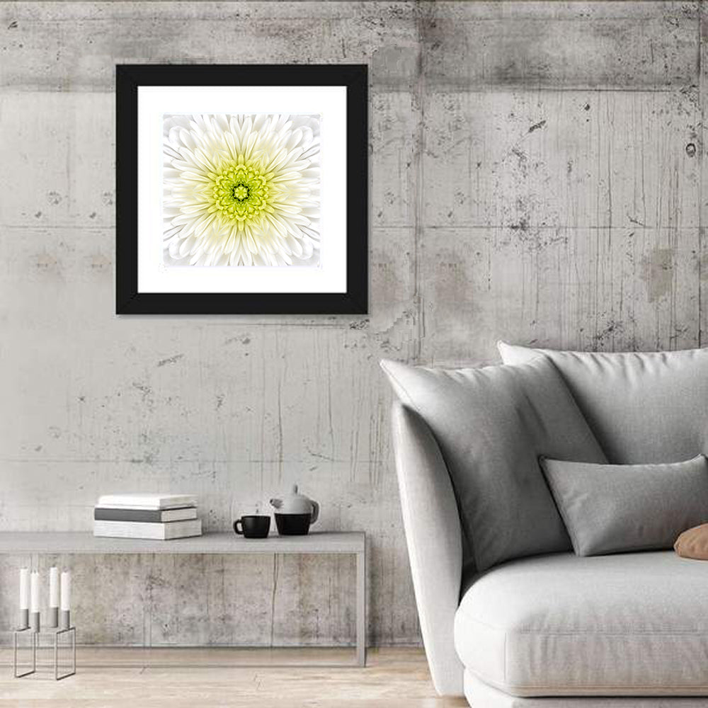 White Chrysanthemum Mandala Close Up Wall Art in a room, square