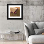 Aerial Soybean Harvest Wall Art