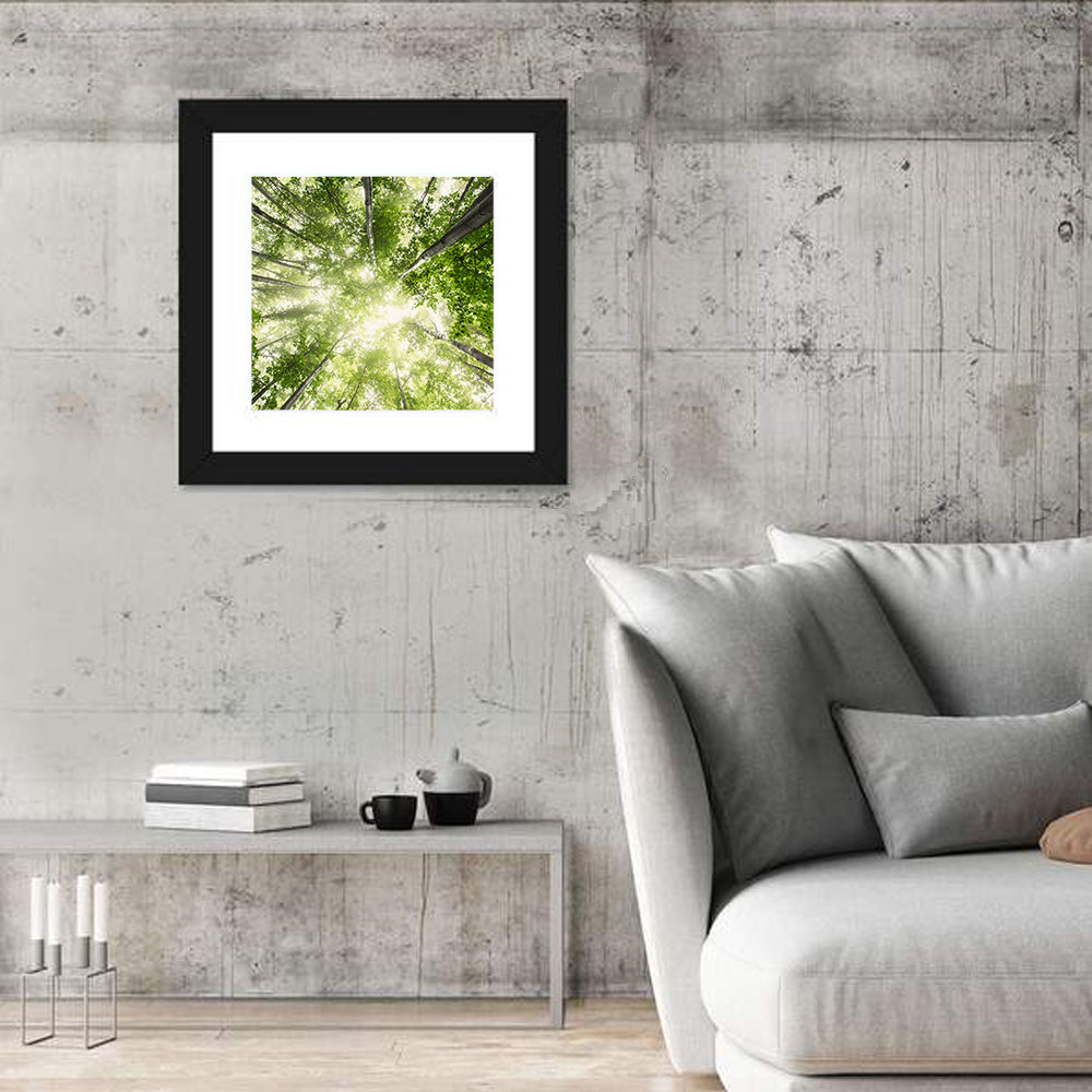 Misty Spring Forest Wall Art