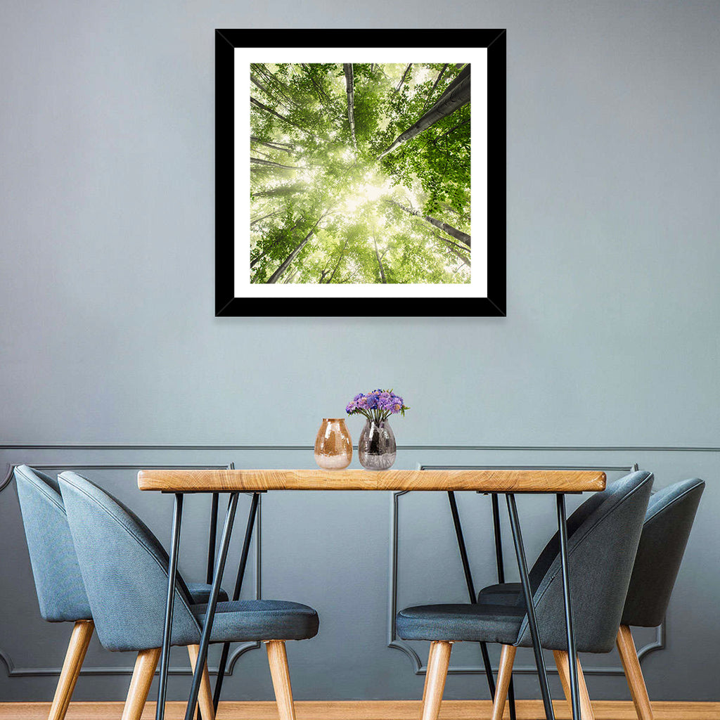 Spring Canopy in Morning Mist Wall Art