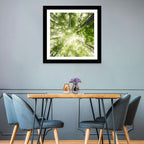 Spring Canopy in Morning Mist Wall Art