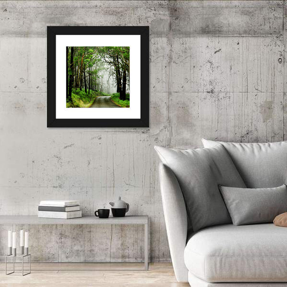 Misty Eucalyptus Road Wall Art