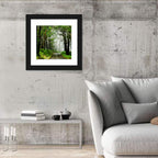 Misty Eucalyptus Road Wall Art