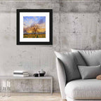 Sunflower Field at Sunset Wall Art