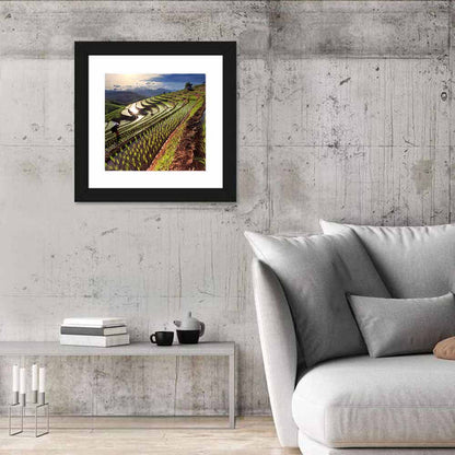 Chiang Mai Rice Fields Wall Art