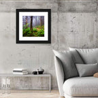 Misty Spruce-fir Trail Wall Art