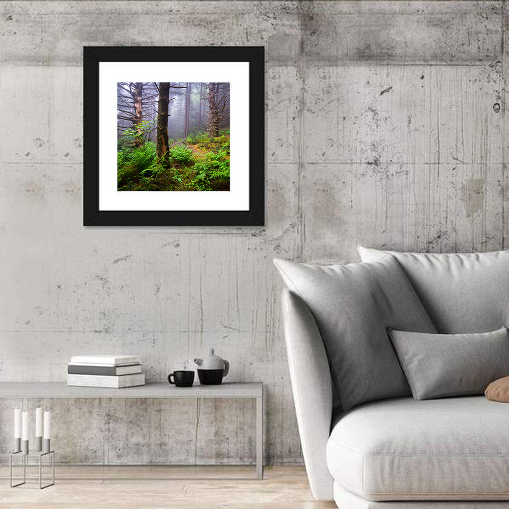 Forest Hiking Trail Wall Art