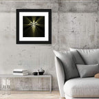 Medical Corps Caduceus Emblem Wall Art