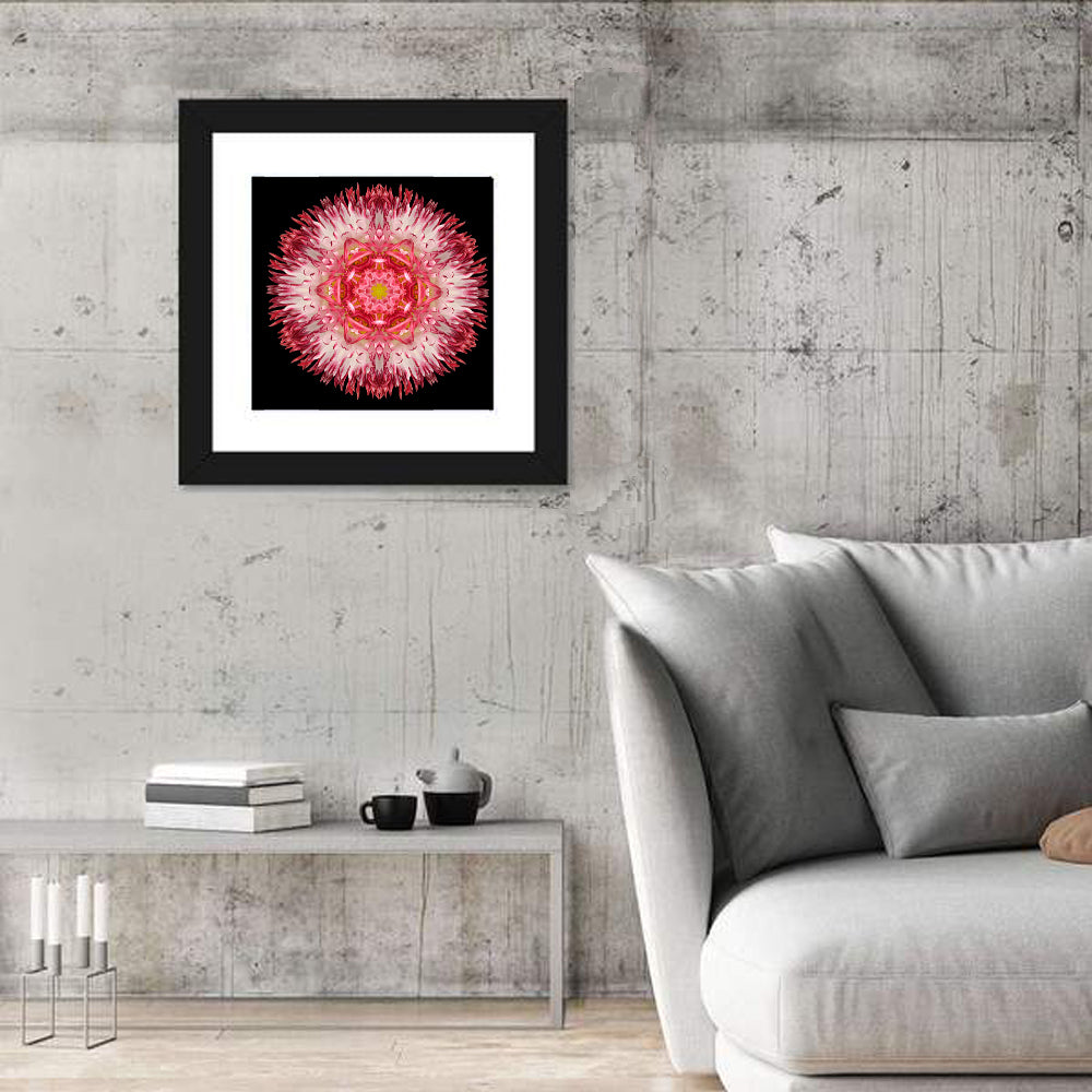 Magenta Chrysanthemum Star Mandala Wall Art