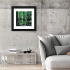 Congaree Swamp Reflection Wall Art