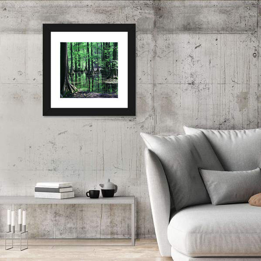 Congaree Swamp Columbia Wall Art